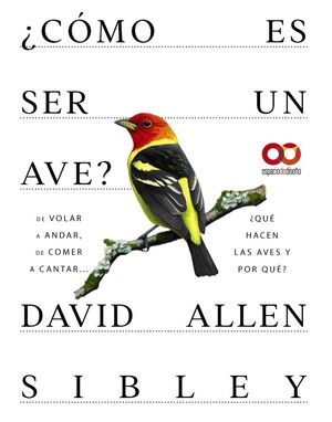CÓMO ES SER UN AVE? DE VOLAR A ANIDAR, DE COMER A CANTAR... ¿QUÉ HACEN LAS AVES Y PORQUE?