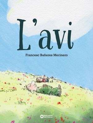 AVI, L'