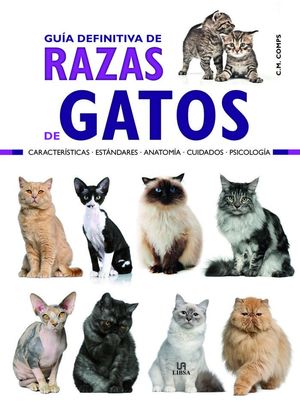 RAZAS DE GATOS, GUÍA DEFINITIVA DE