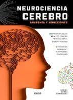 NEUROCIENCIA CEREBRO. ANATOMÍA Y CONEXIONES