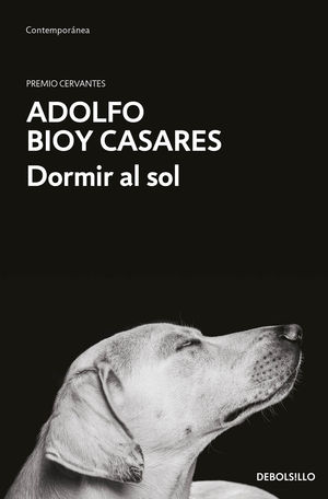 DORMIR AL SOL (CASTELLANO)