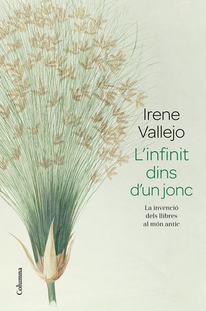 INFINIT DINS D'UN JONC, L'