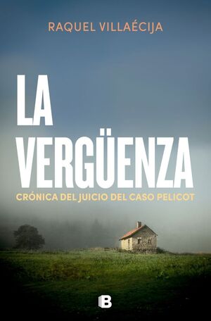 VERGÜENZA, LA