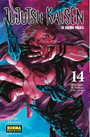 JUJUTSU KAISEN VOL. 14