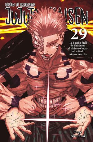 JUJUTSU KAISEN VOL. 29