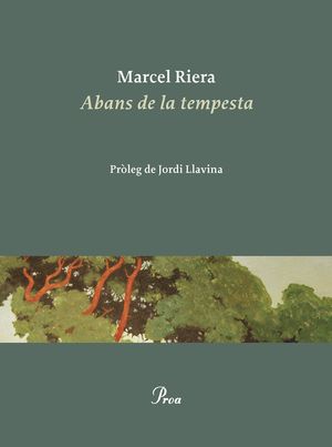 ABANS DE LA TEMPESTA