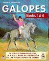 GALOPES - NIVELES 1 AL 4 CURSO DE EQUITACION