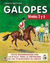 GALOPES - NIVELES 5 Y 6 CURSO DE EQUITACION