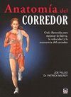 ANATOMIA DEL CORREDOR