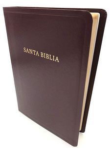SANTA BIBLIA REINA VALERA' 60