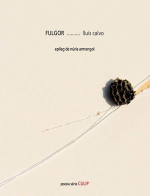 FULGOR (CATALÀ)