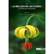 BELLEZA DE LAS FLORES, LA