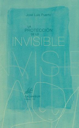 PROTECCIÓN DE LO INVISIBLE, LA