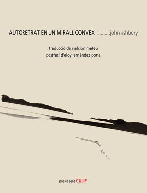 AUTORETRAT EN UN MIRALL CONVEX