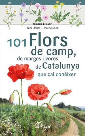 101 FLORS DE CAMP, DE MARGES I VORES DE CATALUNYA QUE CAL CONÈIXER