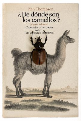 DE DÓNDE SON LOS CAMELLOS?