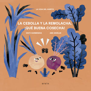 CEBOLLA Y LA REMOLACHA, LA