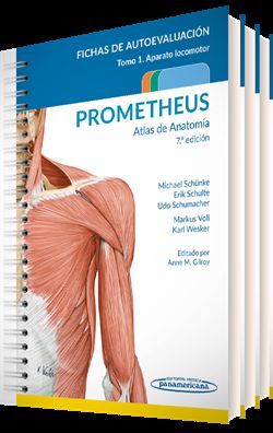 PROMETHEUS. ATLAS DE ANATOMÍA. FICHAS DE AUTOEVALUACIÓN (7 ED.)