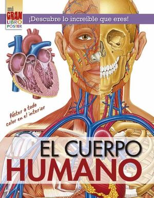 CUERPO HUMANO, EL