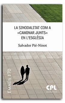 SINODELITAT. COM CAMINAR JUNTS EN L'ESGLESIA