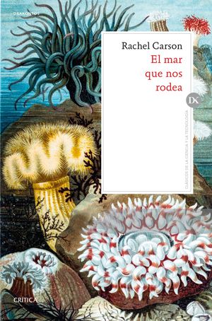 MAR QUE NOS RODEA, EL