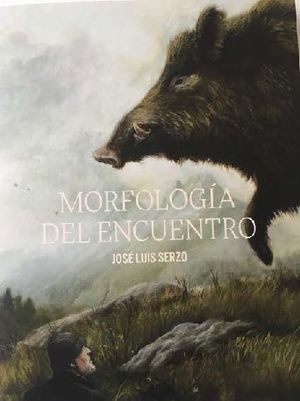 MORFOLOGÍA DEL ENCUENTRO