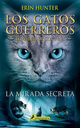 MIRADA SECRETA, LA