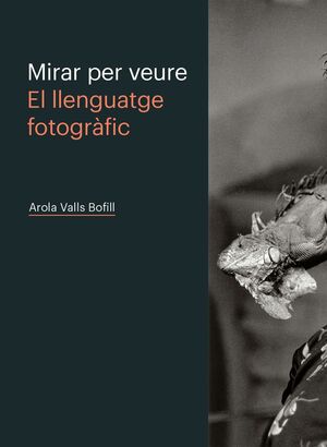 MIRAR PER VEURE. EL LLENGUATGE FOTOGRÀFIC