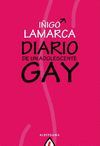 DIARIO DE UN ADOLESCENTE GAY