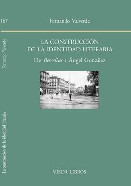 CONSTRUCCION DE LA IDENTIDAD LITERARIA, LA