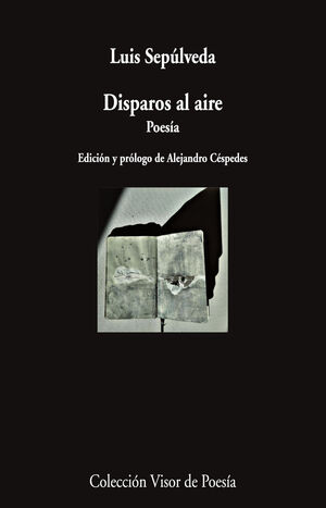 DISPAROS AL AIRE