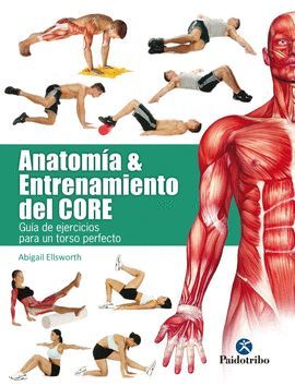 ANATOMÍA & ENTRENAMIENTO DEL CORE