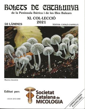 BOLETS DE CATALUNYA 40 - XL COL·LECCIÓ 2021