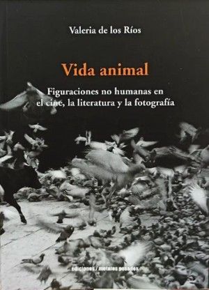 VIDA ANIMAL