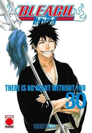 BLEACH BESTSELLER VOL. 30