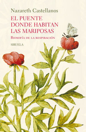 PUENTE DONDE HABITAN LAS MARIPOSAS, EL (CARTONÉ)