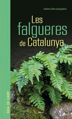 FALGUERES DE CATALUNYA, LES
