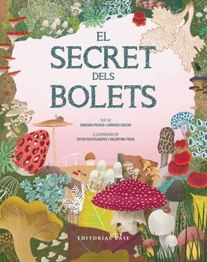 SECRET DELS BOLETS, EL
