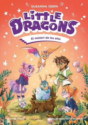 MISTERI DE LES ALES, EL