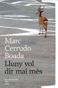 LLUNY VOL DIR MAI MÉS