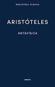 METAFÍSICA (CASTELLANO)