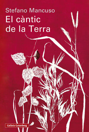 CÀNTIC DE LA TERRA, EL